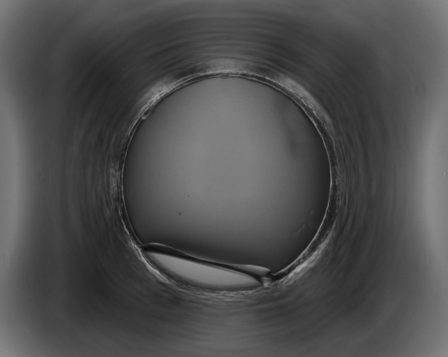X0000086020993200704131846