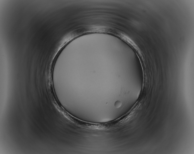 X0000086020994200704131846
