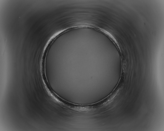 X0000086020995200704131846