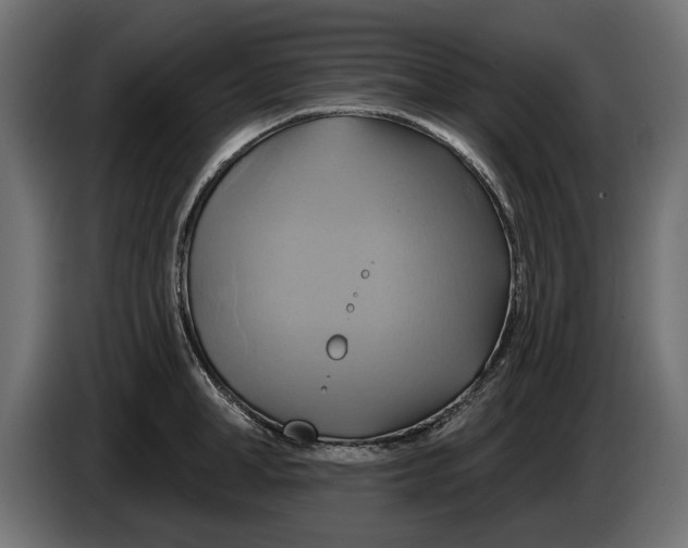 X0000086020998200704131846