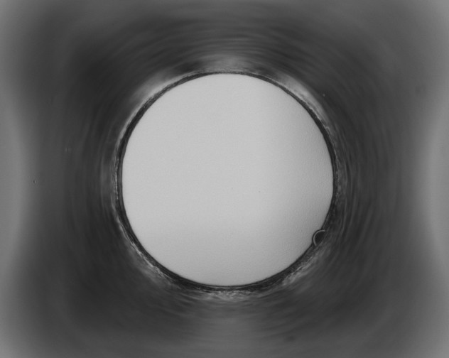 X0000086021000200704131846
