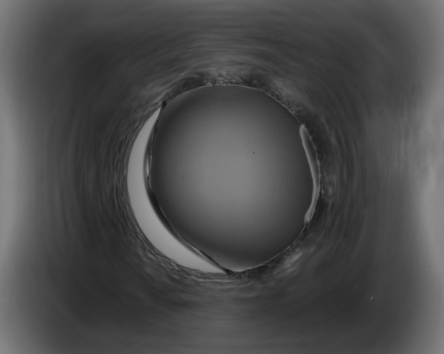 X0000086021010200704131845