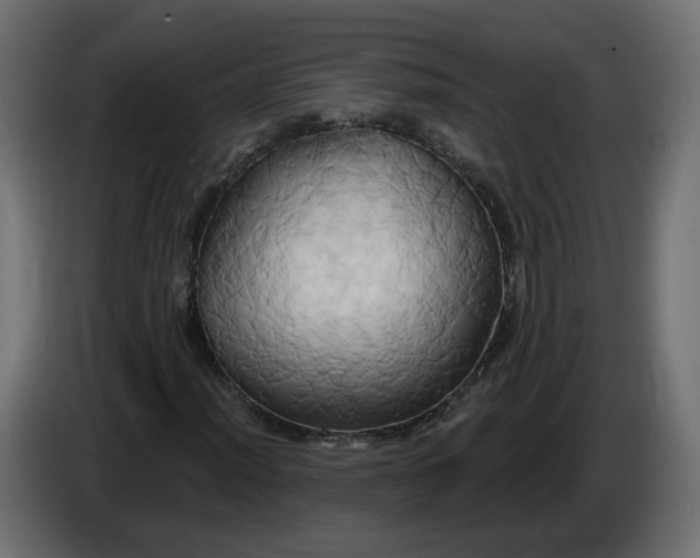 X0000086021012200704131845