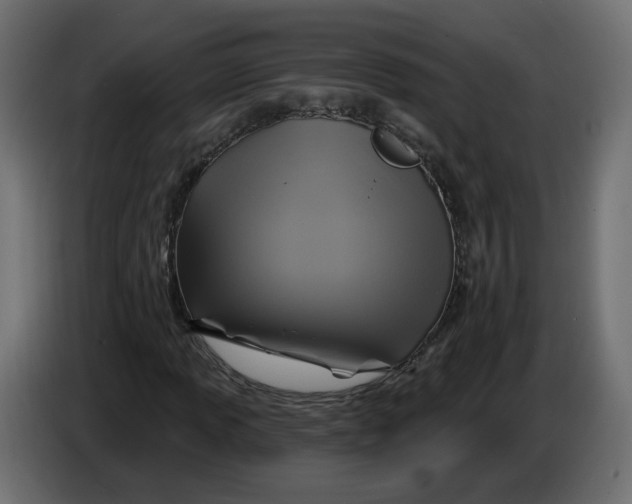 X0000086021013200704131845