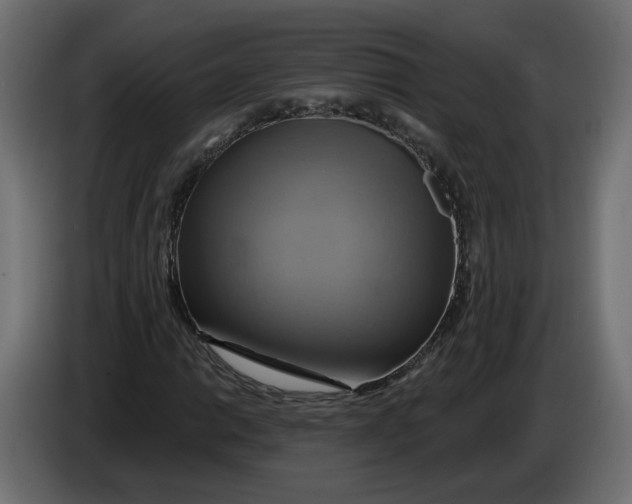 X0000086021014200704131845