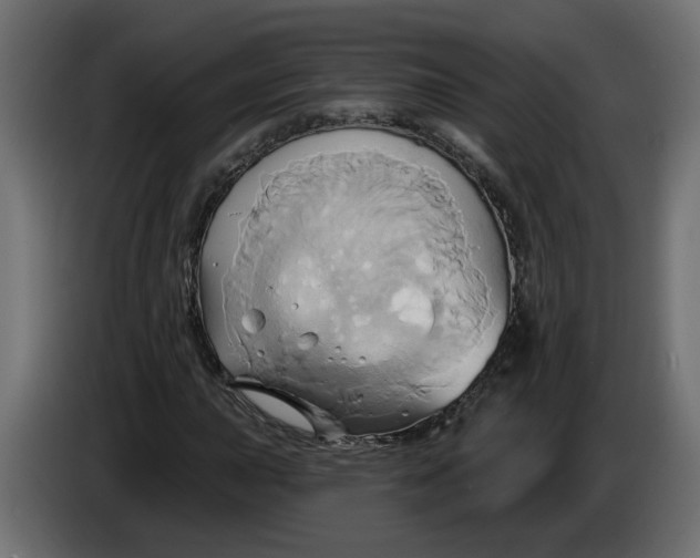 X0000086021015200704131845