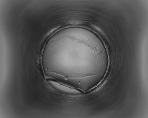 X0000086021017200704131845