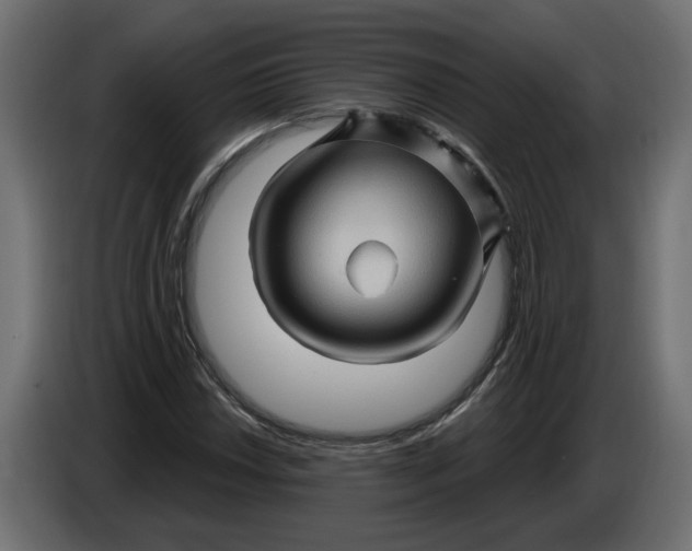 X0000086021018200704131845