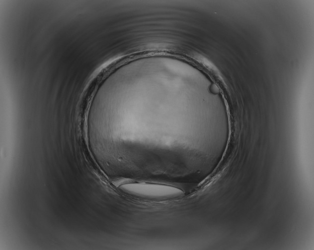 X0000086021019200704131845