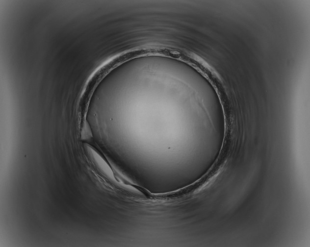 X0000086021021200704131845