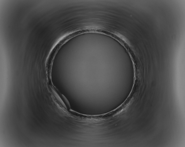X0000086021022200704131845