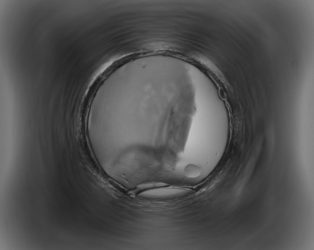 X0000086021023200704131845