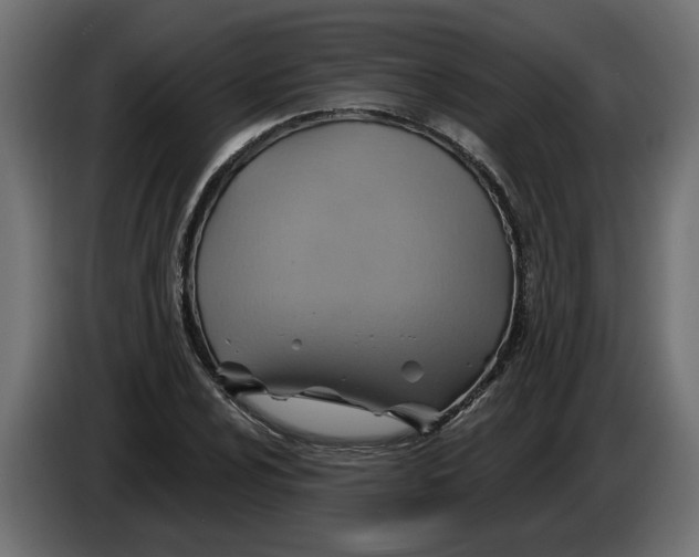 X0000086021024200704131845