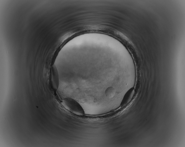 X0000086021025200704131845