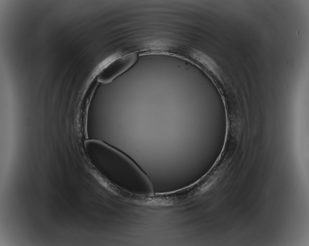 X0000086021026200704131845