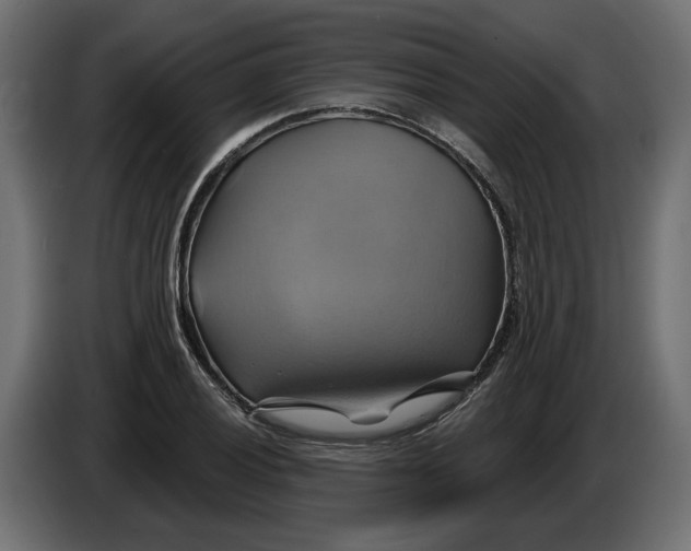 X0000086021028200704131845