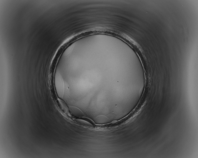 X0000086021029200704131845