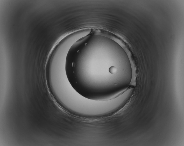 X0000086021030200704131845