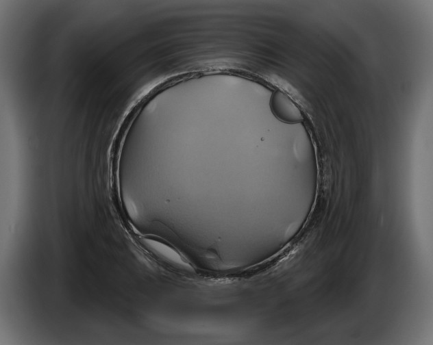 X0000086021031200704131845