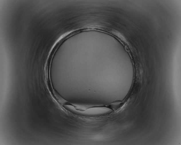 X0000086021032200704131845
