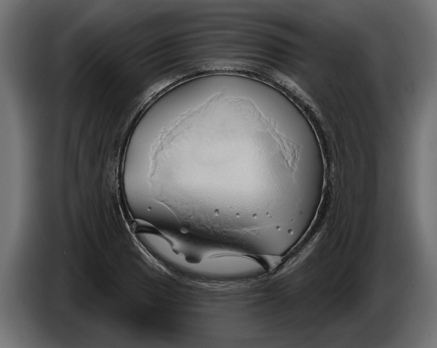 X0000086021033200704131845