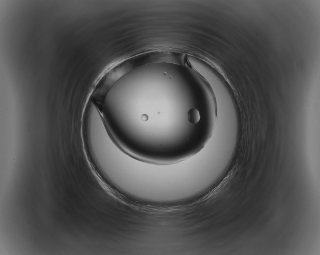 X0000086021034200704131845