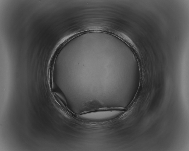 X0000086021035200704131845