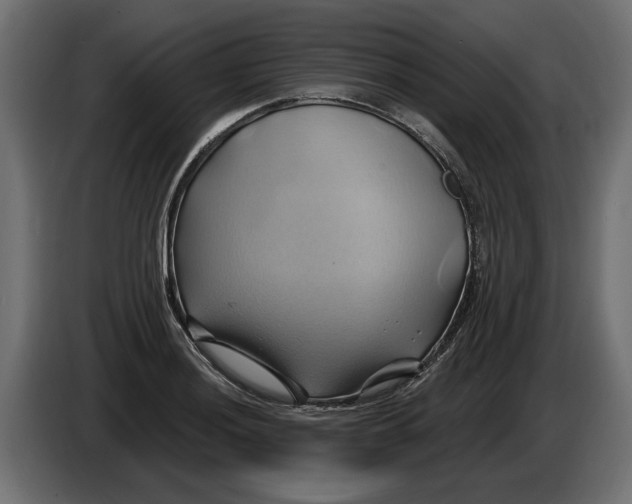 X0000086021036200704131845
