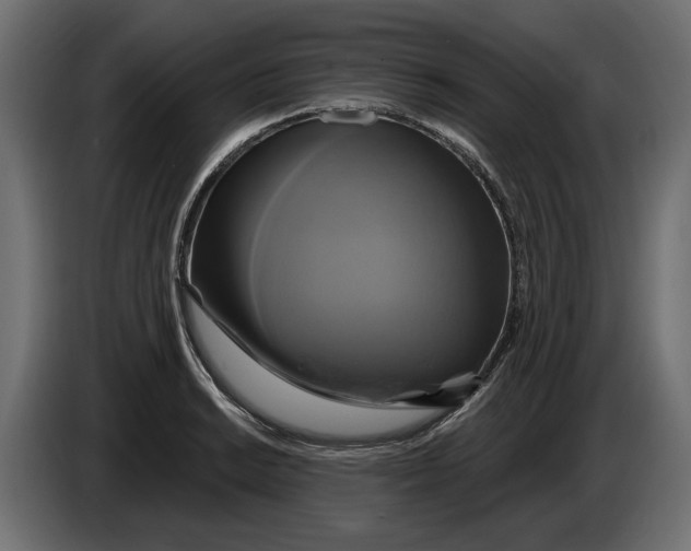 X0000086021038200704131845