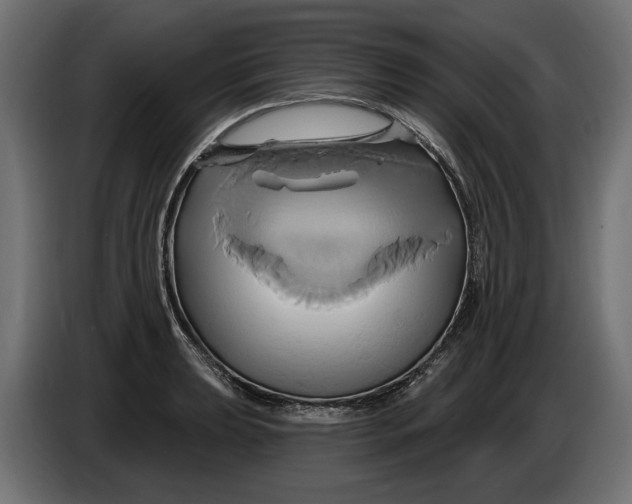 X0000086021039200704131845