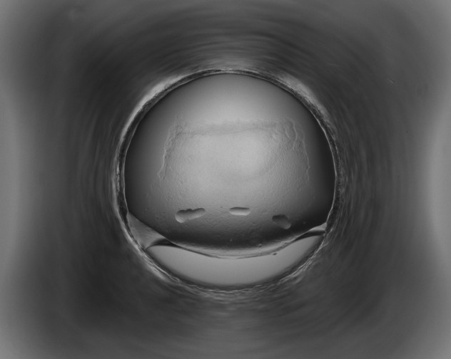 X0000086021040200704131845