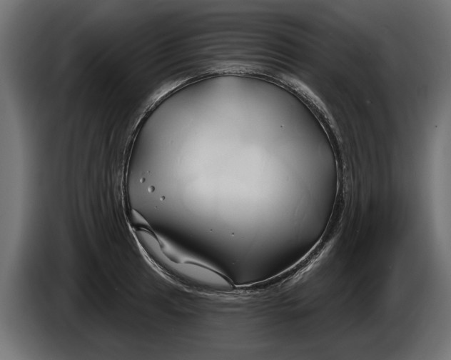 X0000086021041200704131845