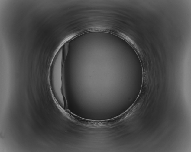 X0000086021042200704131845