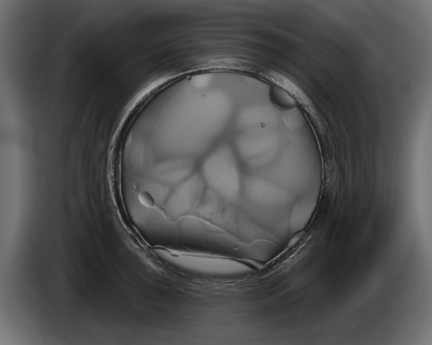 X0000086021043200704131845