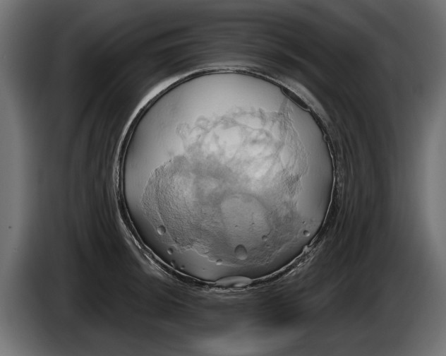 X0000086021044200704131845