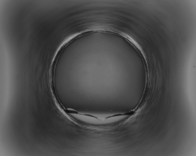 X0000086021045200704131845
