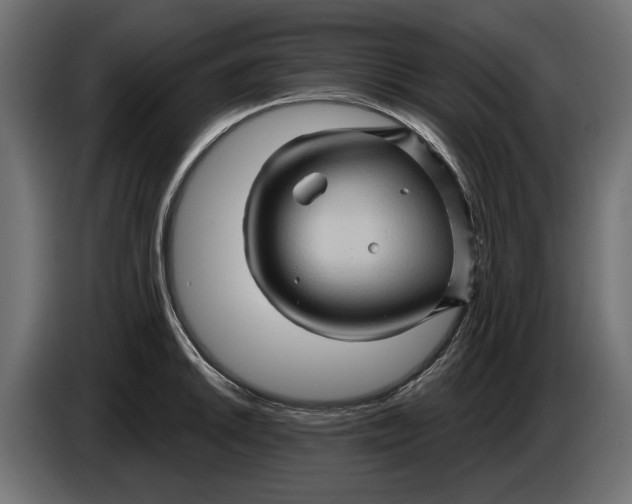 X0000086021046200704131845