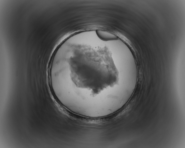 X0000086021047200704131845