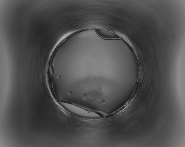 X0000086021048200704131845