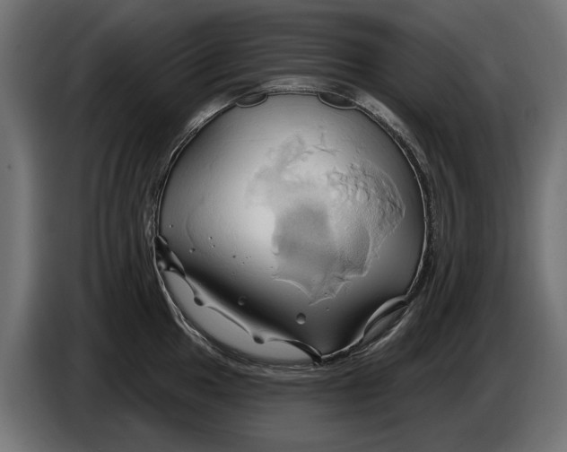 X0000086021049200704131845