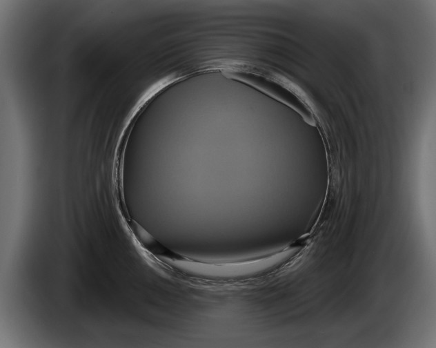 X0000086021050200704131845