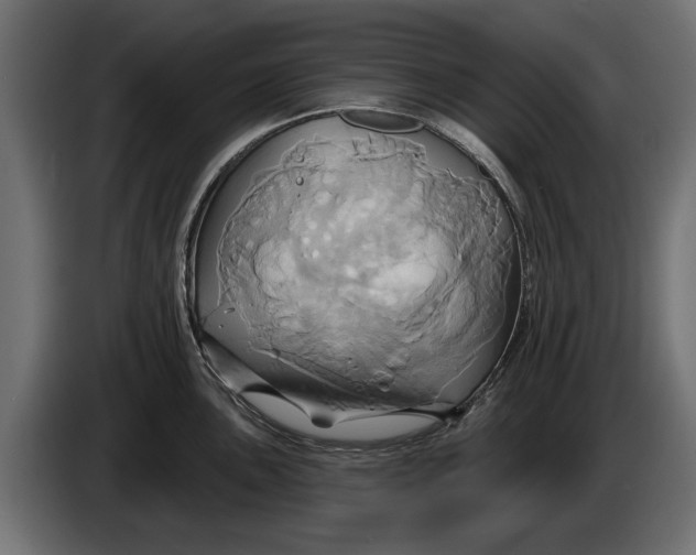 X0000086021051200704131845