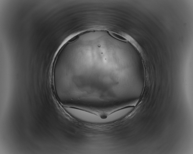 X0000086021052200704131845