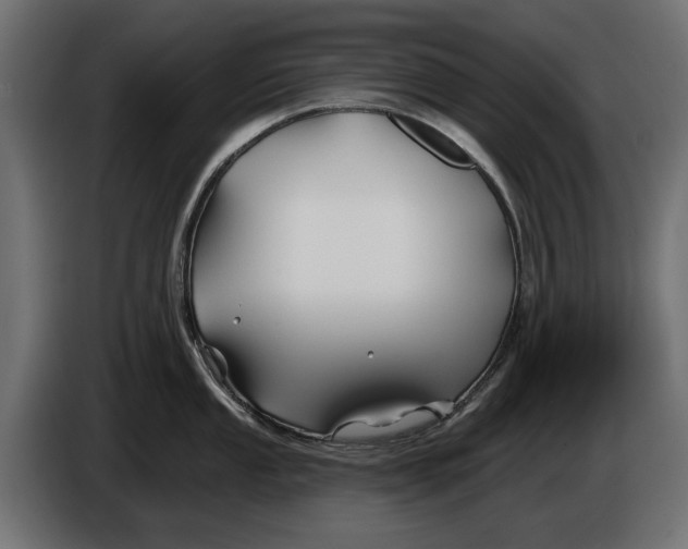 X0000086021053200704131845