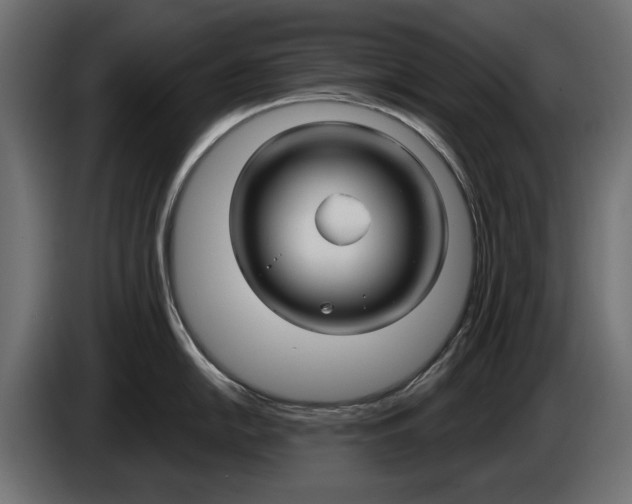 X0000086021054200704131845