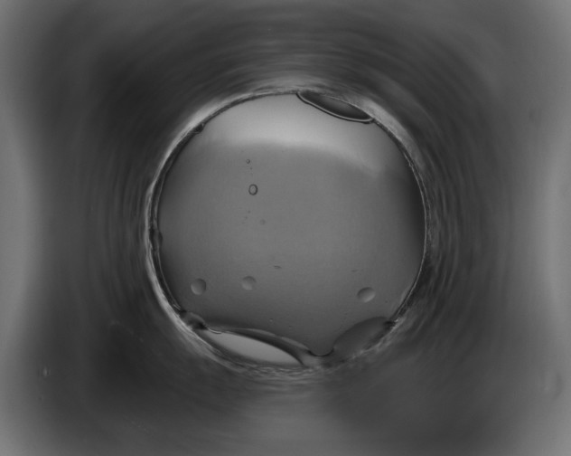 X0000086021055200704131845