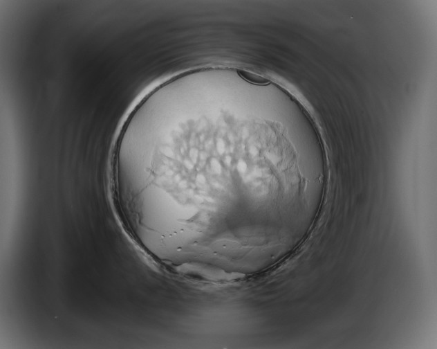 X0000086021056200704131845