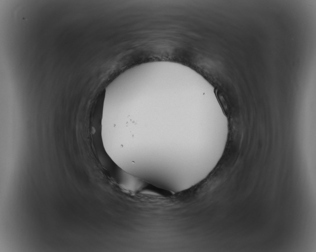 X0000086021057200704131845