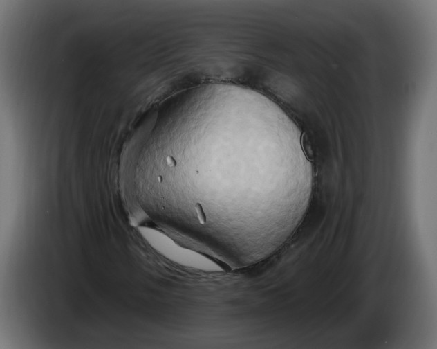 X0000086021058200704131845