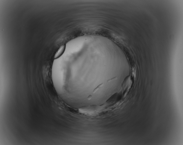X0000086021059200704131845